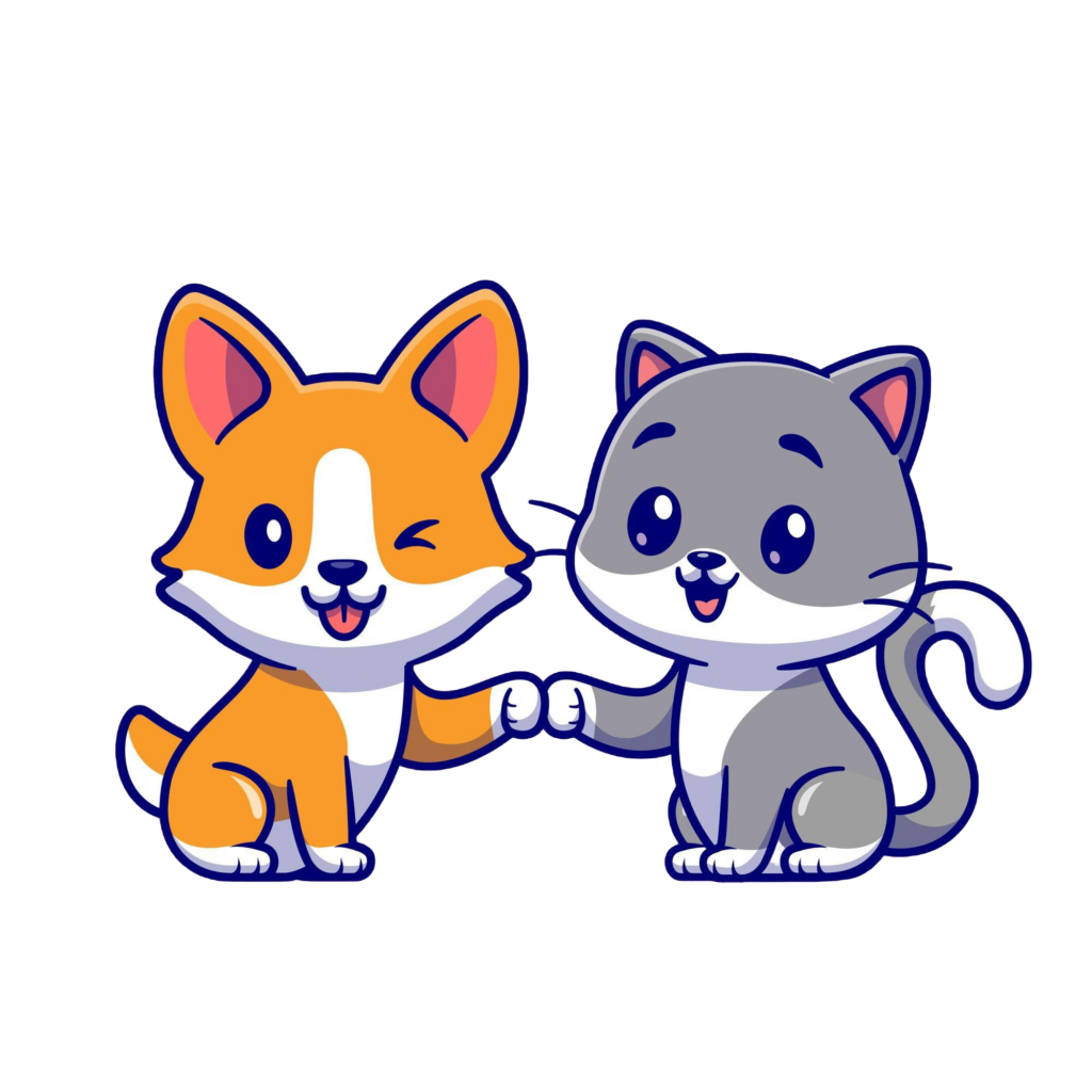 Bozkır Veteriner Kliniği | Ankara Mamak Veteriner | Ankara Mamak Veteriner Hekim | Ankara Mamak Acil Veteriner | Ankara Mamak Veteriner Kliniği | Ankara Mamak En İyi Veteriner